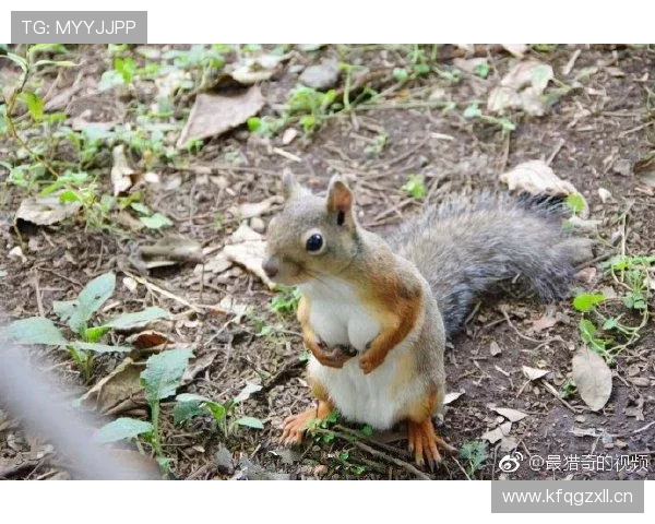 亚博体育网址娱乐平台最新优惠活动，享受丰富奖励和高额返水福利