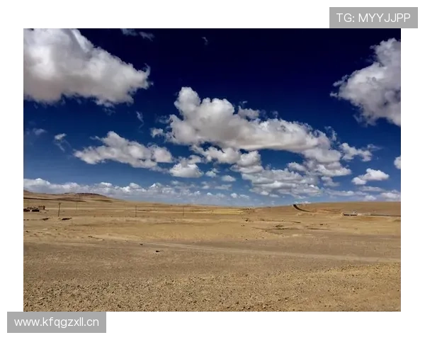 开云安卓版常用功能介绍与个性化设置技巧分享