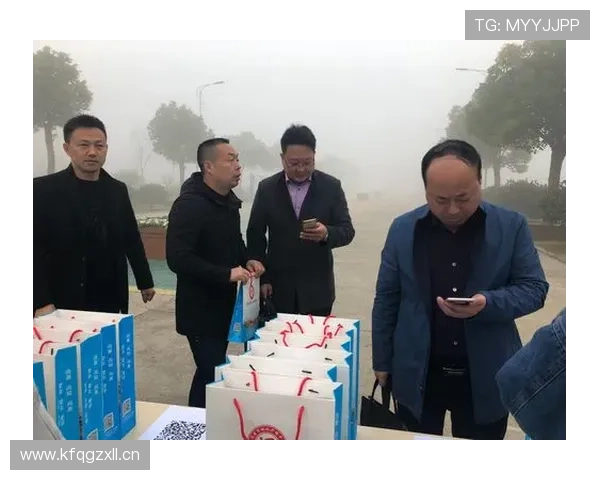 开云线上登陆流程全攻略帮助新人快速掌握登录技巧和注意事项