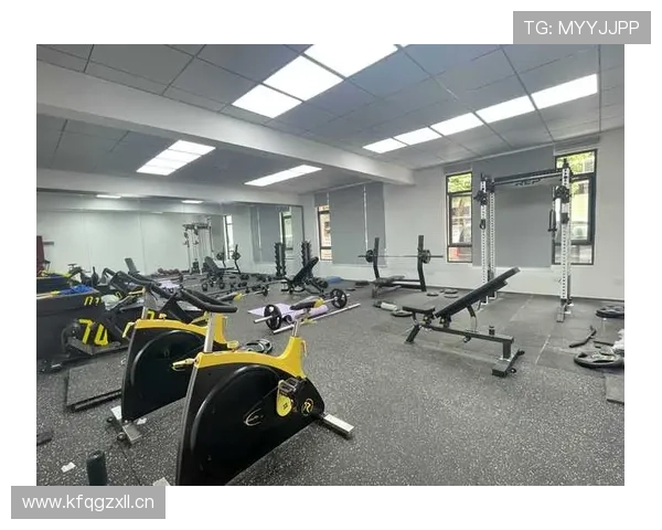 完美体育：全面提升身体素质的科学运动指导与健康管理方案